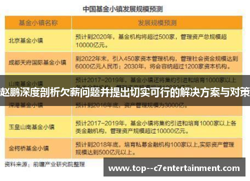 赵鹏深度剖析欠薪问题并提出切实可行的解决方案与对策